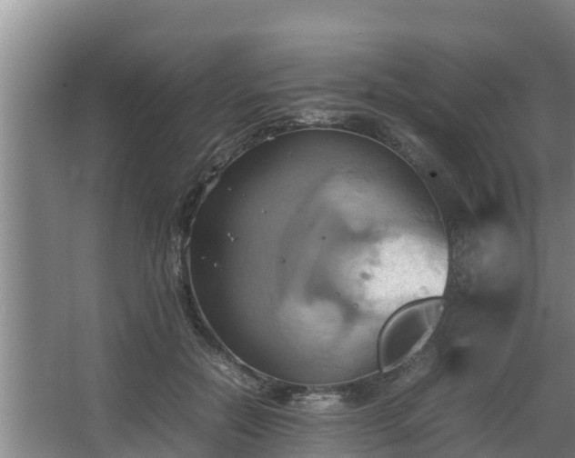 X0000064040554200602031600