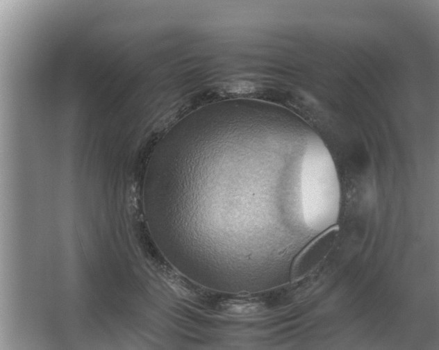 X0000064040555200602031600