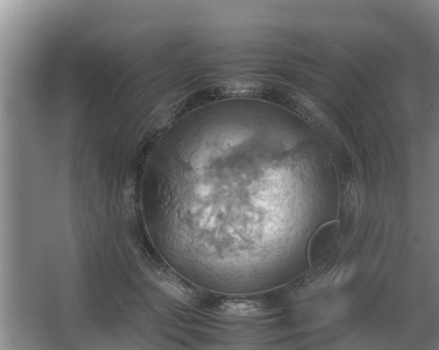 X0000064040557200602031600