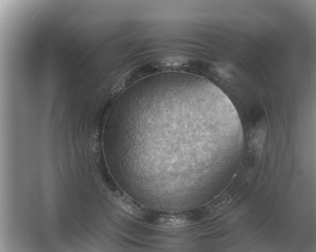 X0000064040559200602031600