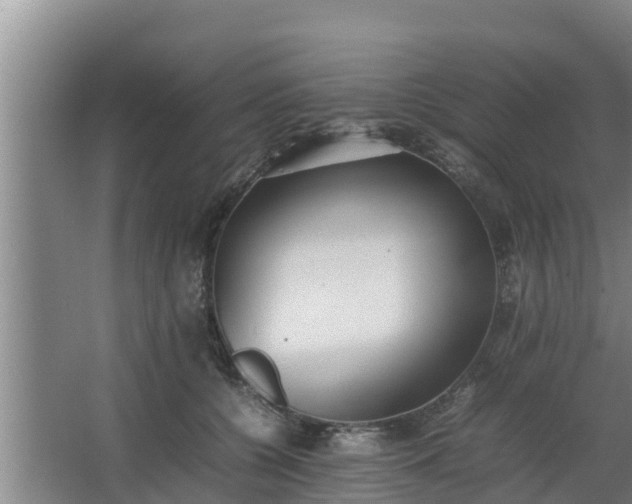 X0000064040560200602031600