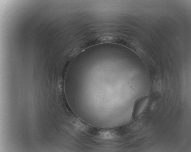 X0000064040561200602031600