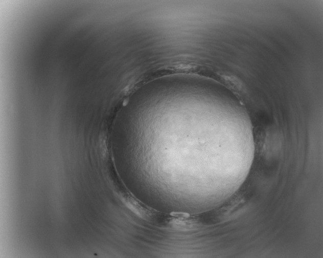 X0000064040568200602031600