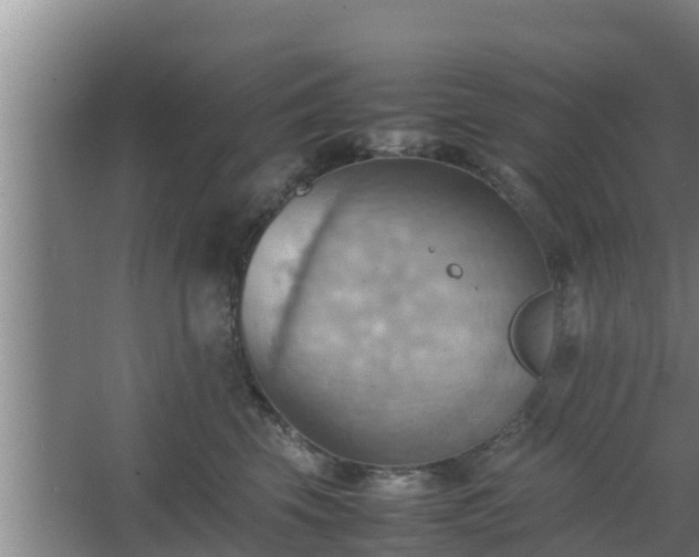 X0000064040569200602031600