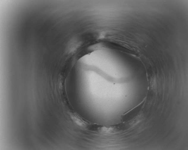 X0000064040570200602031600