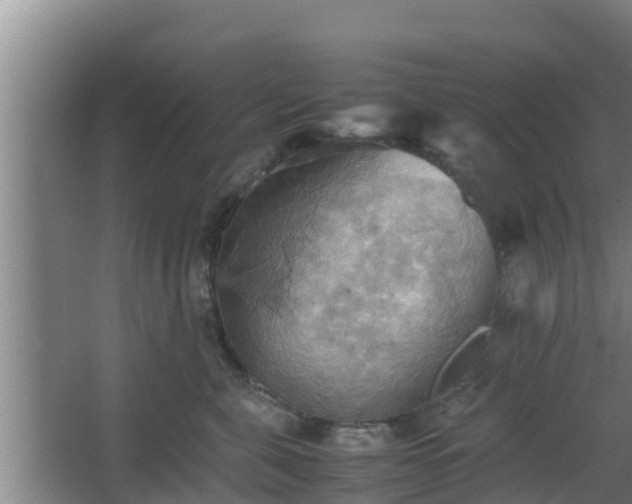 X0000064040571200602031600