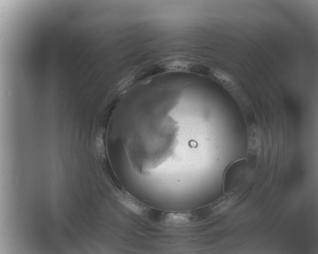 X0000064040573200602031600