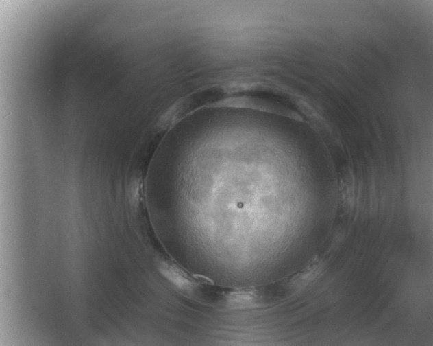 X0000064040574200602031600