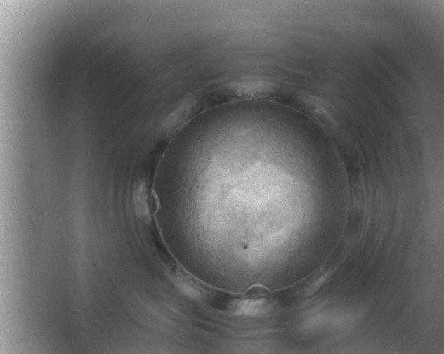 X0000064040575200602031600