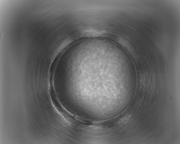 X0000064040582200602031600