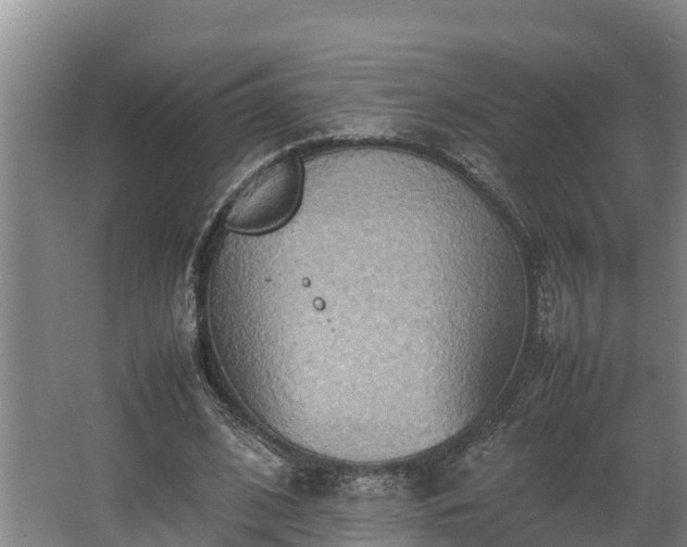 X0000064040584200602031600