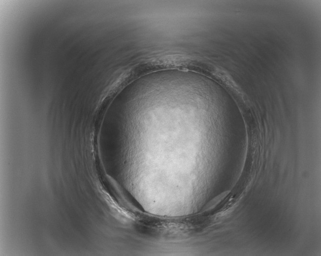 X0000064040585200602031600