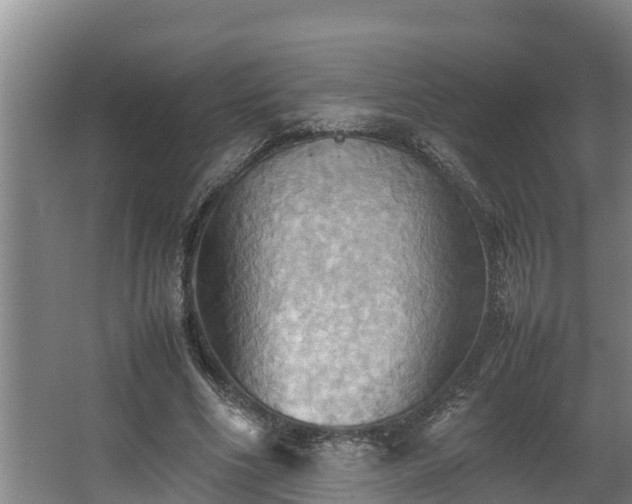 X0000064040586200602031600