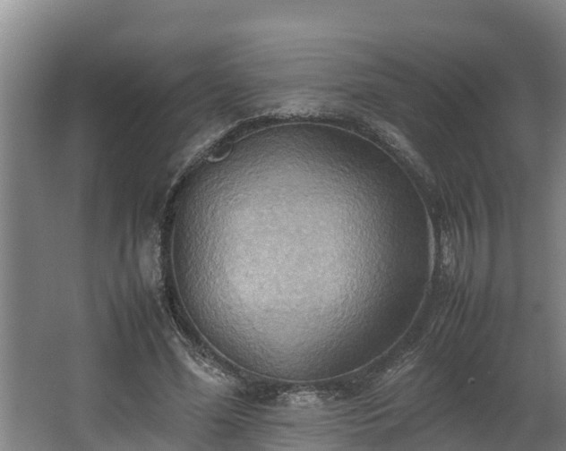 X0000064040588200602031600