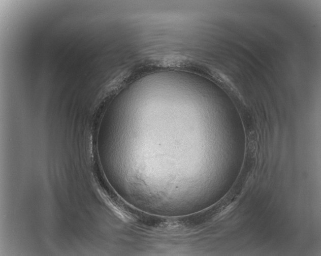 X0000064040589200602031559