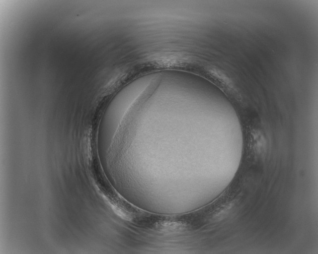 X0000064040590200602031559