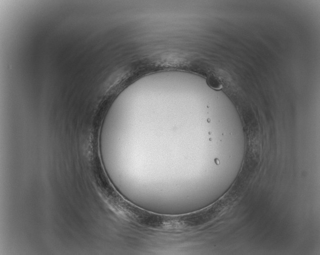 X0000064040591200602031559