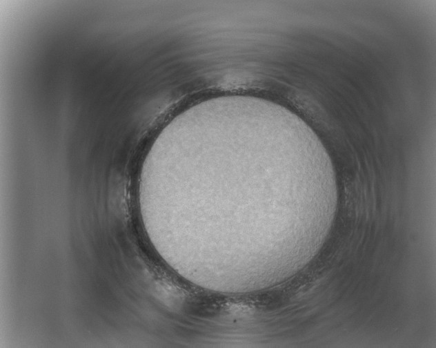 X0000064040592200602031559