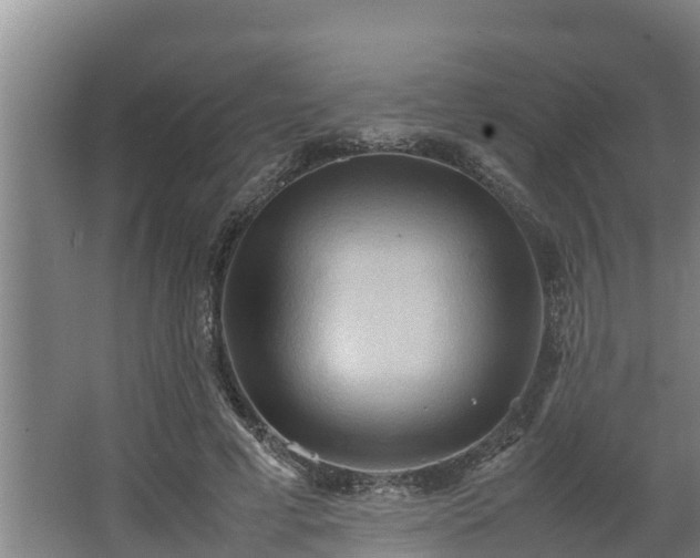 X0000064040593200602031559