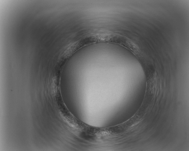 X0000064040594200602031559