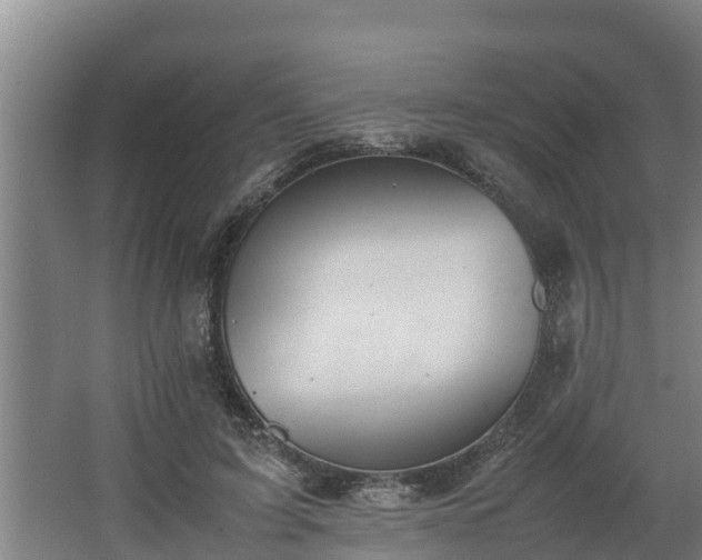 X0000064040595200602031559