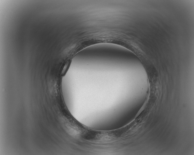 X0000064040597200602031559