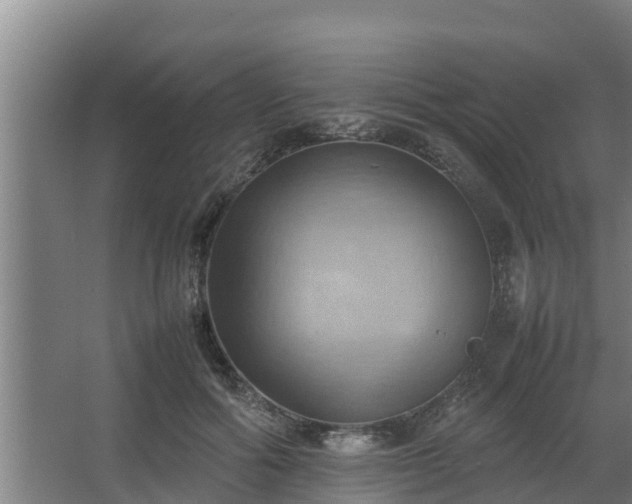 X0000064040602200602031559