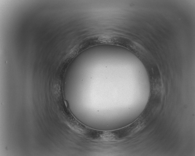 X0000064040603200602031559