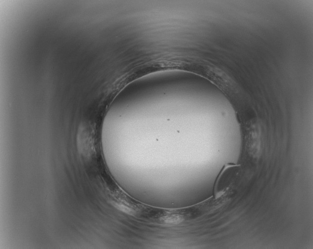 X0000064040604200602031559