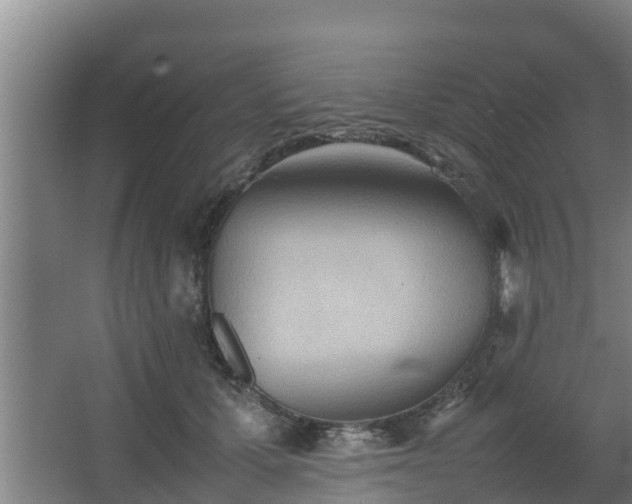 X0000064040607200602031559