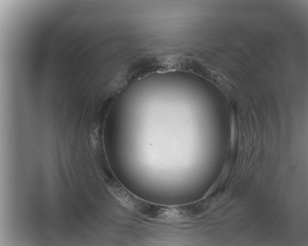 X0000064040611200602031559