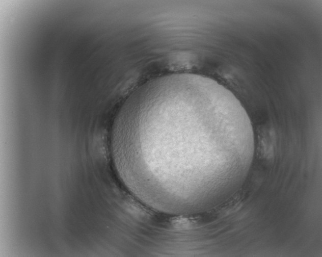 X0000064040616200602031559