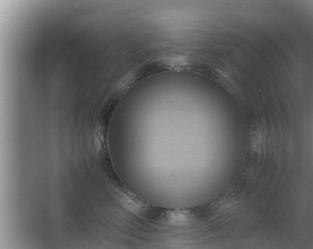 X0000064040618200602031559