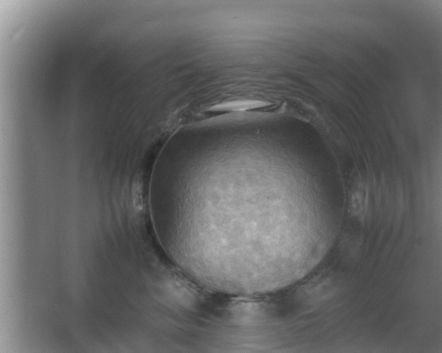 X0000064040620200602031559