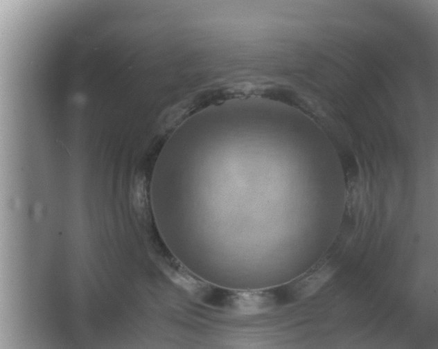 X0000064040623200602031559