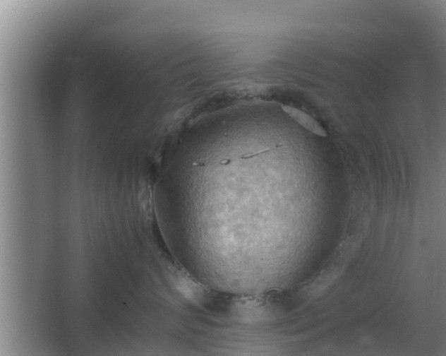 X0000064040624200602031559