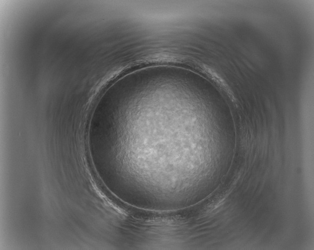 X0000064040625200602031558