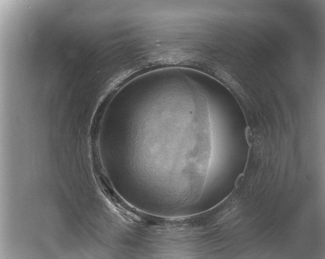 X0000064040626200602031558