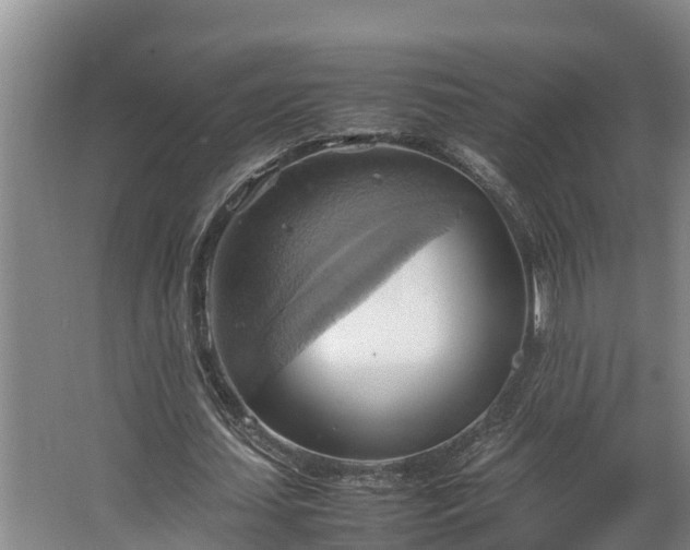 X0000064040627200602031558