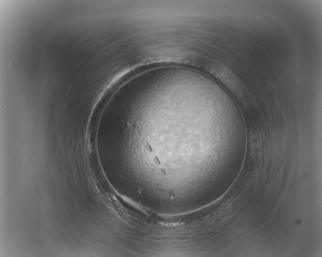 X0000064040628200602031558