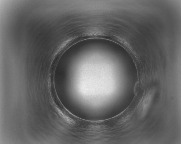 X0000064040629200602031558