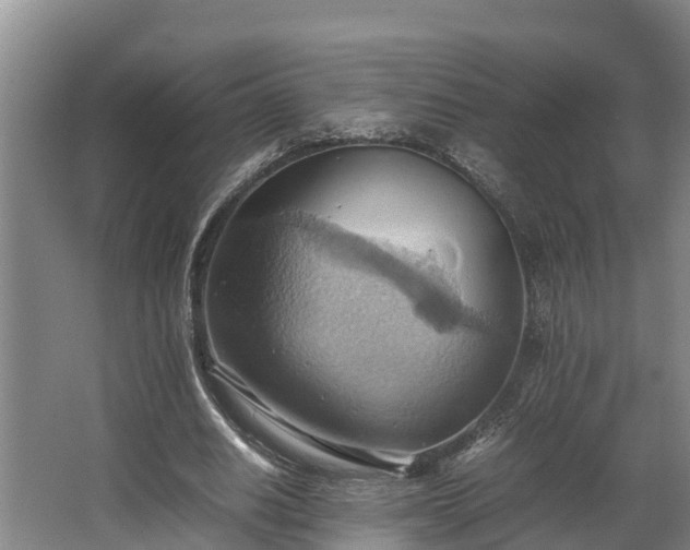 X0000064040630200602031558