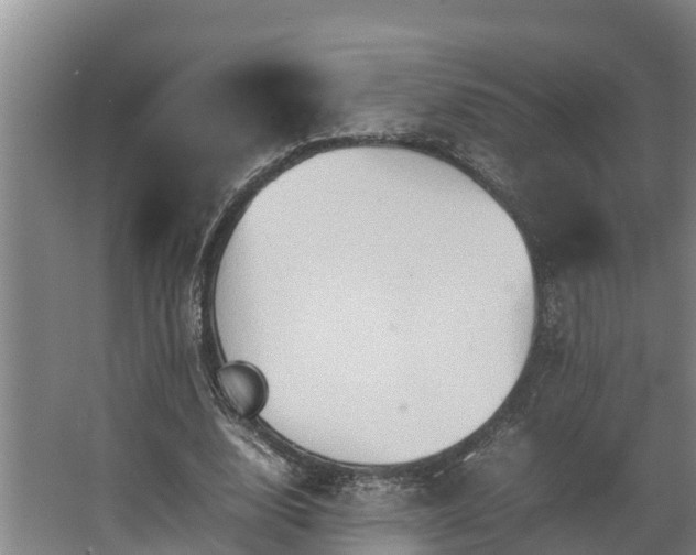 X0000064040632200602031558