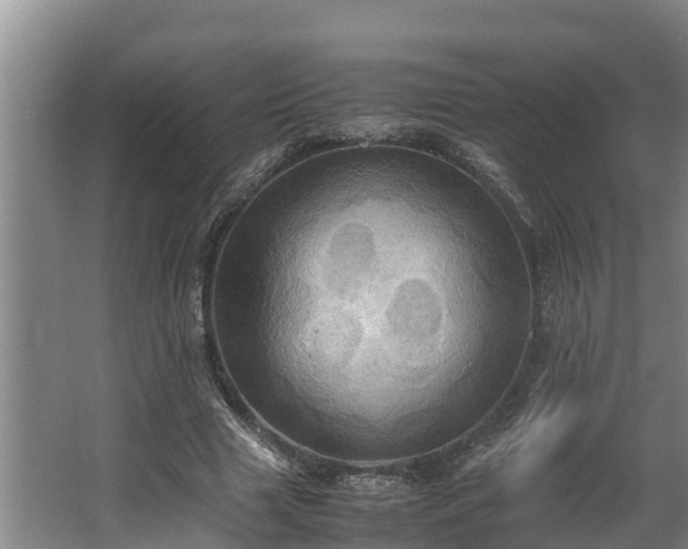 X0000064040633200602031558