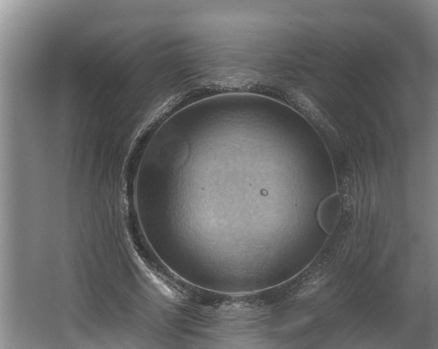 X0000064040634200602031558