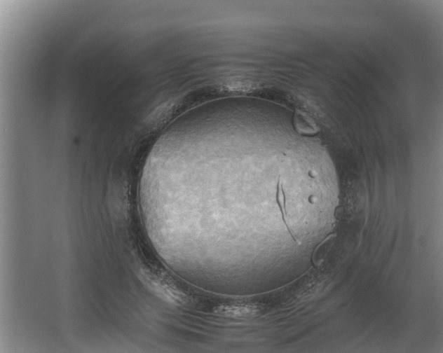 X0000064040639200602031558