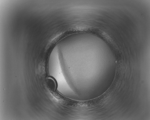 X0000064040640200602031558