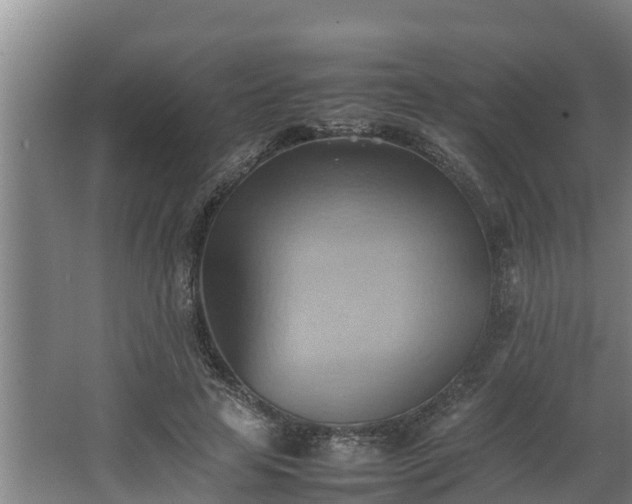 X0000064040641200602031558