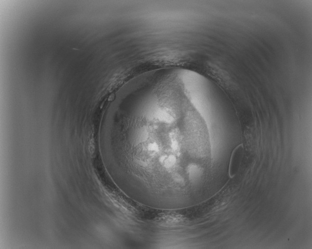 X0000064040642200602031558