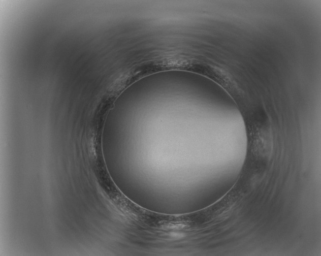 X0000064040643200602031558